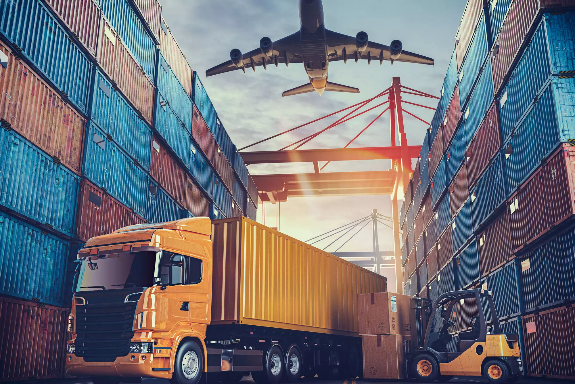 import service provider