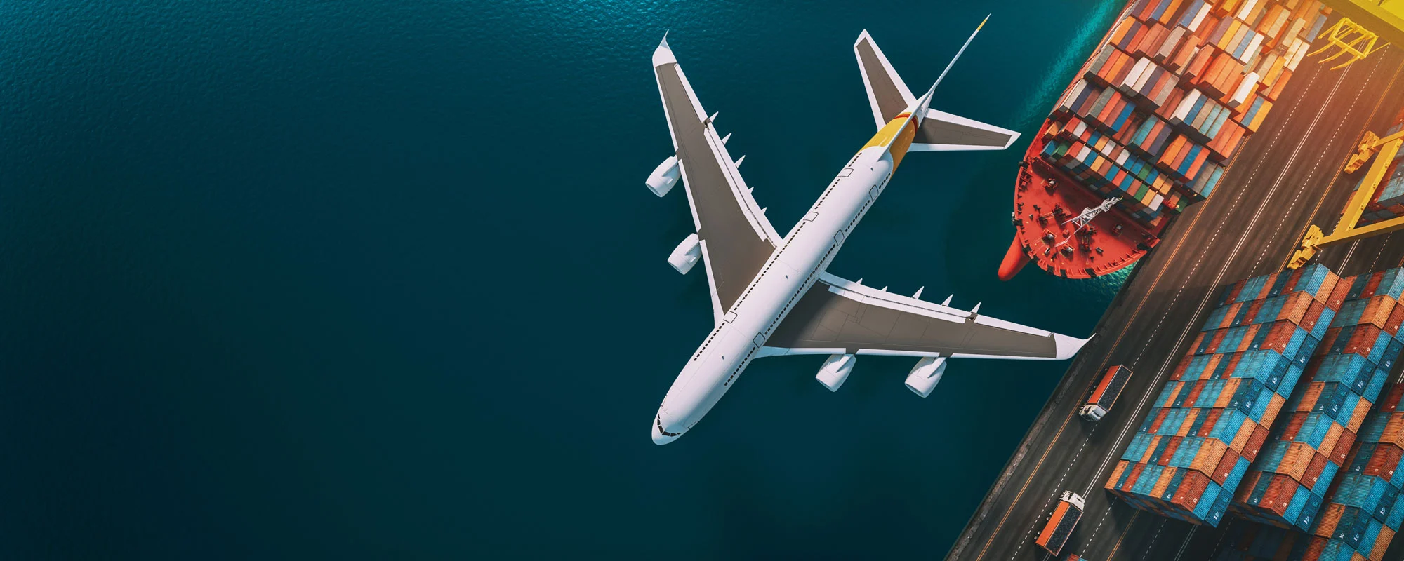 export import management
